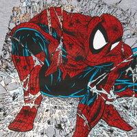 HUF X SPIDER-MAN ARACHKNIGHT FZ HOODIE