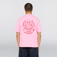 EDWIN MUSIC CHANNEL TS