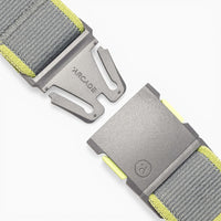 ARCADE CARTO BELT